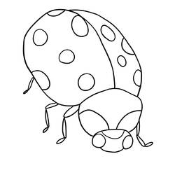 Coloring page: Bettle (Animals) #3547 - Printable coloring pages