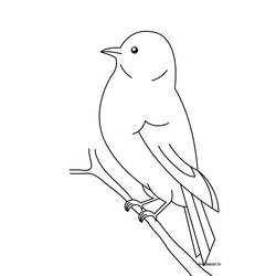 Coloring page: Birds (Animals) #11844 - Printable coloring pages
