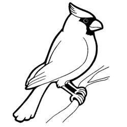 Coloring page: Birds (Animals) #11846 - Printable coloring pages