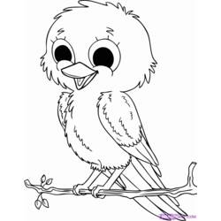 Coloring page: Birds (Animals) #11849 - Free Printable Coloring Pages