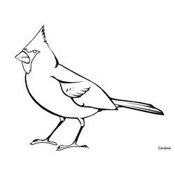 Coloring page: Birds (Animals) #11870 - Free Printable Coloring Pages