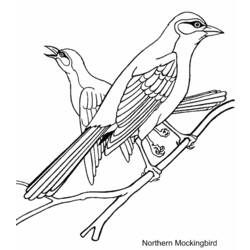 Coloring page: Birds (Animals) #11871 - Free Printable Coloring Pages