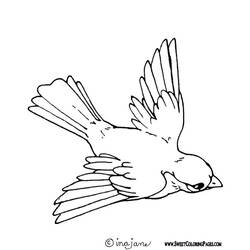 Coloring page: Birds (Animals) #11874 - Free Printable Coloring Pages