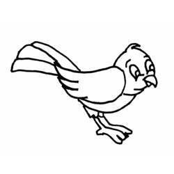 Coloring page: Birds (Animals) #11892 - Printable coloring pages