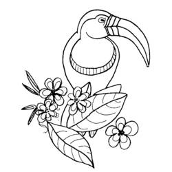 Coloring page: Birds (Animals) #11897 - Free Printable Coloring Pages