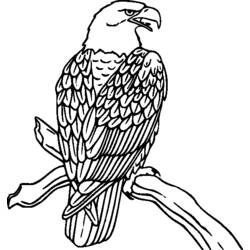 Coloring page: Birds (Animals) #11901 - Free Printable Coloring Pages