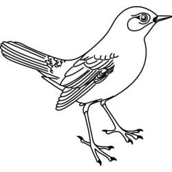 Coloring page: Birds (Animals) #11913 - Printable coloring pages