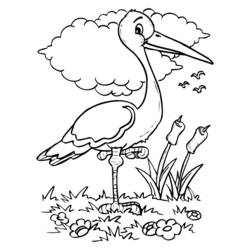 Coloring page: Birds (Animals) #11920 - Free Printable Coloring Pages
