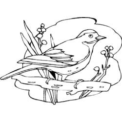 Coloring page: Birds (Animals) #11921 - Free Printable Coloring Pages