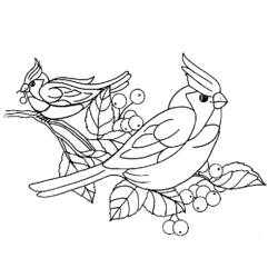 Coloring page: Birds (Animals) #11926 - Free Printable Coloring Pages