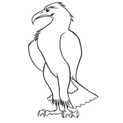 Coloring page: Birds (Animals) #11930 - Free Printable Coloring Pages