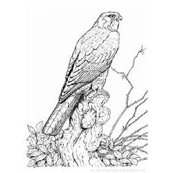 Coloring page: Birds (Animals) #11935 - Free Printable Coloring Pages