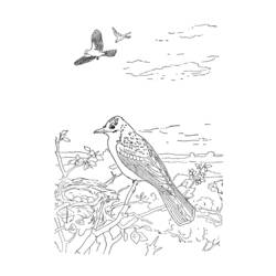 Coloring page: Birds (Animals) #11938 - Free Printable Coloring Pages