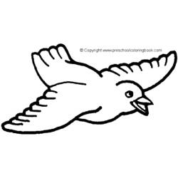 Coloring page: Birds (Animals) #11940 - Printable coloring pages