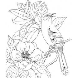 Coloring page: Birds (Animals) #11943 - Free Printable Coloring Pages