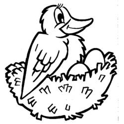 Coloring page: Birds (Animals) #11958 - Free Printable Coloring Pages