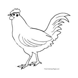 Coloring page: Birds (Animals) #11959 - Free Printable Coloring Pages