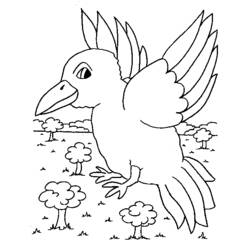 Coloring page: Birds (Animals) #11967 - Free Printable Coloring Pages