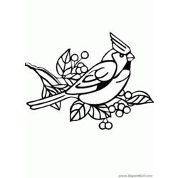 Coloring page: Birds (Animals) #11969 - Free Printable Coloring Pages