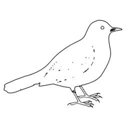 Coloring page: Birds (Animals) #11977 - Printable coloring pages