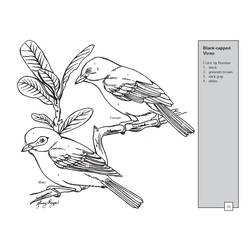 Coloring page: Birds (Animals) #11981 - Printable coloring pages
