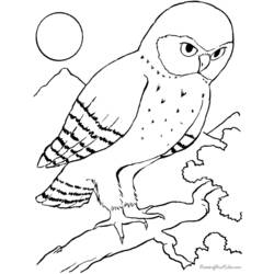 Coloring page: Birds (Animals) #11990 - Free Printable Coloring Pages