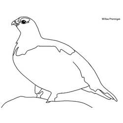 Coloring page: Birds (Animals) #11991 - Free Printable Coloring Pages