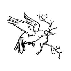 Coloring page: Birds (Animals) #12006 - Free Printable Coloring Pages