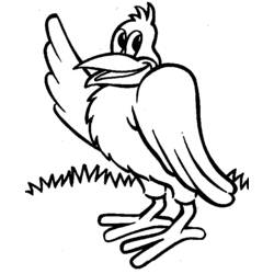 Coloring page: Birds (Animals) #12008 - Free Printable Coloring Pages