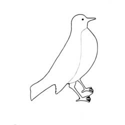 Coloring page: Birds (Animals) #12011 - Free Printable Coloring Pages