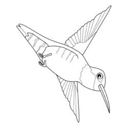 Coloring page: Birds (Animals) #12018 - Free Printable Coloring Pages