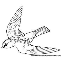 Coloring page: Birds (Animals) #12029 - Free Printable Coloring Pages