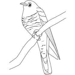 Coloring page: Birds (Animals) #12041 - Free Printable Coloring Pages