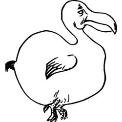 Coloring page: Birds (Animals) #12043 - Free Printable Coloring Pages