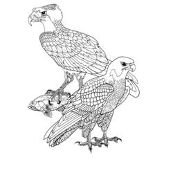 Coloring page: Birds (Animals) #12053 - Free Printable Coloring Pages