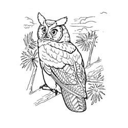 Coloring page: Birds (Animals) #12054 - Free Printable Coloring Pages
