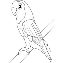Coloring page: Birds (Animals) #12084 - Printable coloring pages
