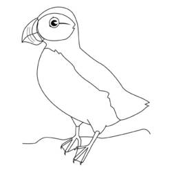 Coloring page: Birds (Animals) #12098 - Free Printable Coloring Pages