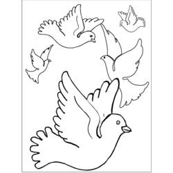 Coloring page: Birds (Animals) #12106 - Free Printable Coloring Pages