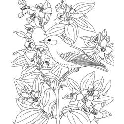 Coloring page: Birds (Animals) #12108 - Free Printable Coloring Pages