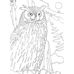 Coloring page: Birds (Animals) #12110 - Free Printable Coloring Pages