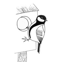Coloring page: Birds (Animals) #12125 - Free Printable Coloring Pages