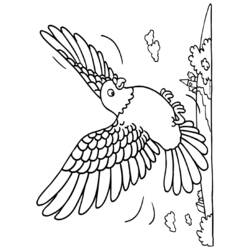 Coloring page: Birds (Animals) #12132 - Free Printable Coloring Pages