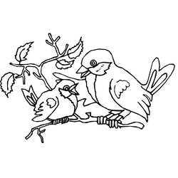 Birds (Animals) coloring page #174994 to print and color