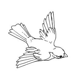 Birds (Animals) coloring page #174996 to print and color