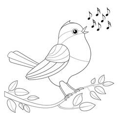 Birds (Animals) coloring page #175017 to print and color