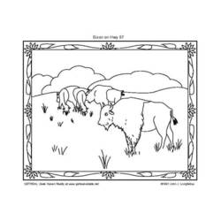 Coloring page: Bison (Animals) #1207 - Printable coloring pages