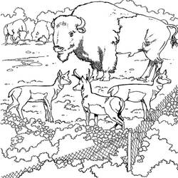 Coloring page: Bison (Animals) #1209 - Printable coloring pages