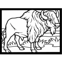 Bison (Buffalo) (Animals) coloring page #1191 to print and color