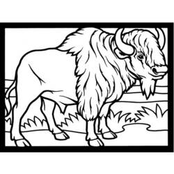 Bison (Buffalo) (Animals) coloring page #1228 to print and color